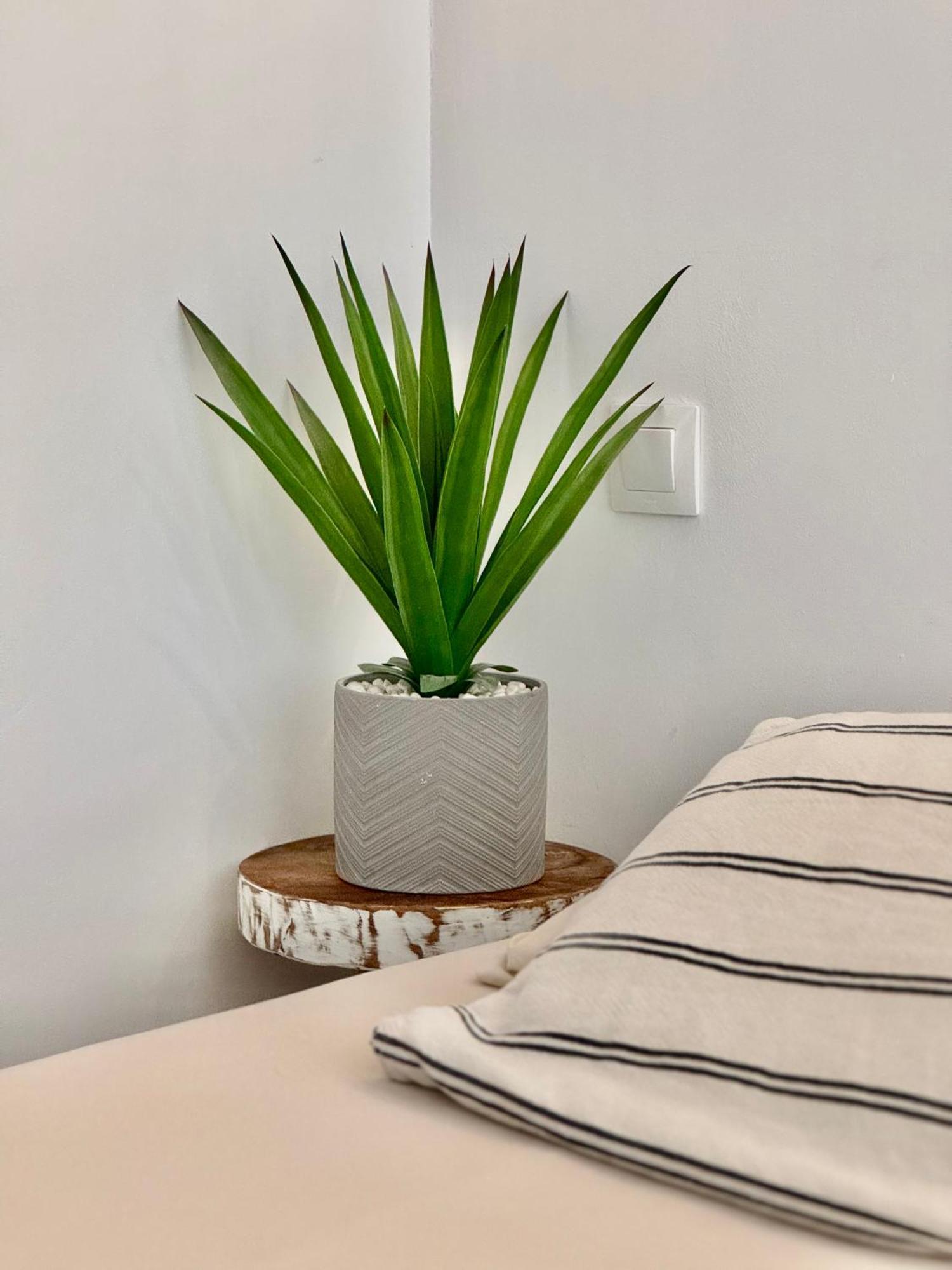 Amety Appartement Colmar Buitenkant foto